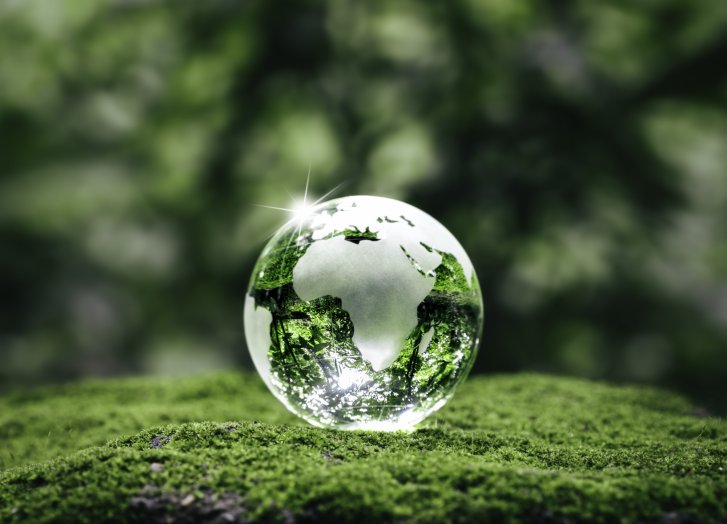 Une boule de cristal brille au centre, allongée dans la mousse, entourée d'un fond vert flou.