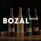 Vier gekleurde mescalflessen staan op een houten tafel met het "BOZAL mezcal"-logo erboven.