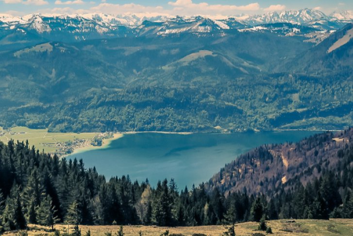 Bergsee reflektiert Sonnenlicht, umgeben von Tannen und grünen Wiesen, vor schneebedeckten Alpen.