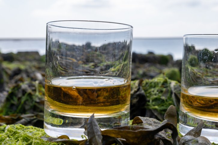 Zwei Whiskygläser stehen gefüllt auf einer mit Algen bedeckten Küste am Meer.