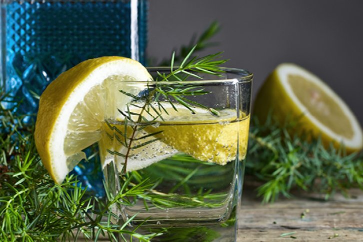 Glas mit Gin und Zitrone steht auf Holztisch, umgeben von Wacholderzweigen und Zitrusfrüchten.