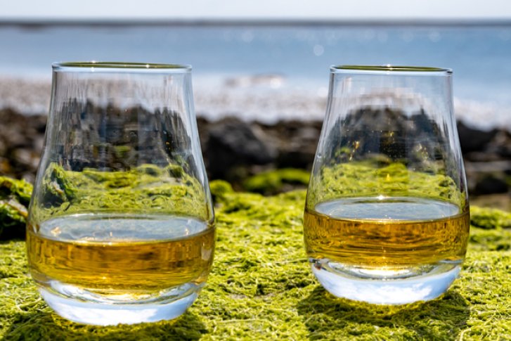 Zwei Gläser mit Whisky stehen auf moosigem Felsen am Meer bei sonnigem Wetter.