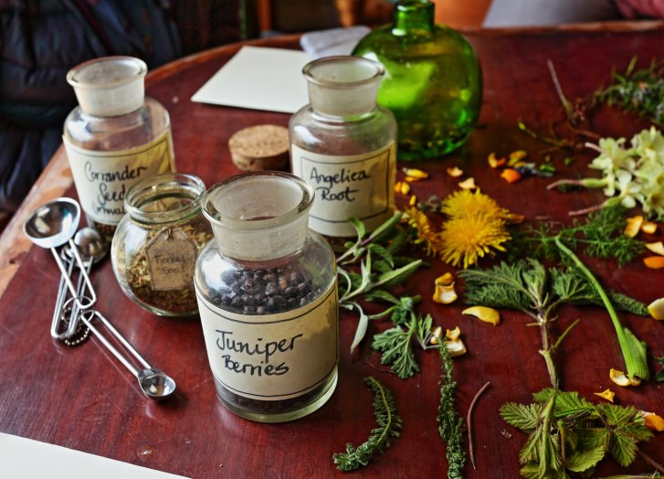 Vier Glasgefäße mit Kräutern und Gewürzen stehen auf einem Tisch mit frischen Pflanzen.