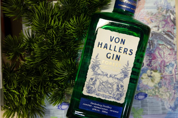Flasche mit "Von Hallers Gin"-Label liegt neben Tannenzweigen auf buntem Hintergrund.