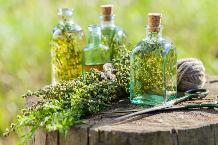Flaschen mit Kräutern gefüllt, stehen auf Baumstumpf, umgeben von Schere und Schnur, draußen.