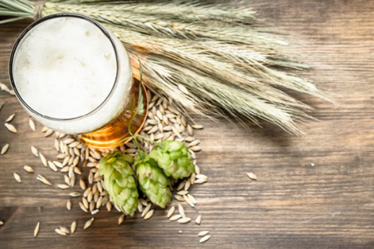 Bierglas steht auf Holztisch, umgeben von Weizenähren, Hopfenzapfen und verstreuten Gerstenkörnern.