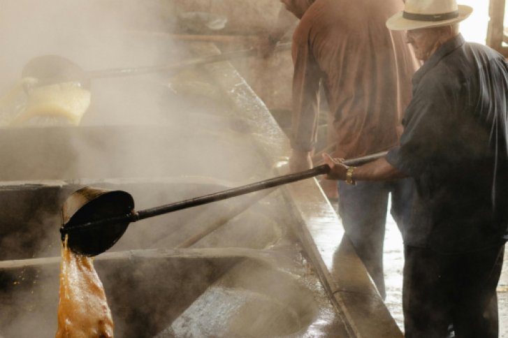Bild zeigt Herstellung Melasse aus Zuckerrohr
