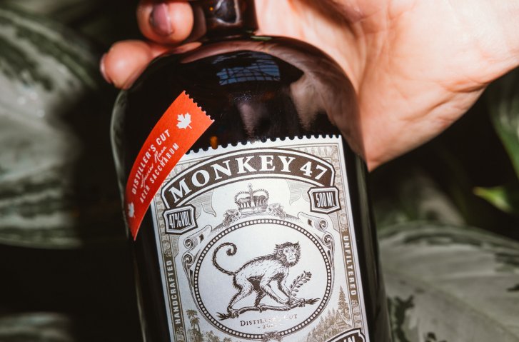 Flasche Monkey 47 Gin wird von Hand gehalten, vor Blättern, mit detailliertem Etikett.