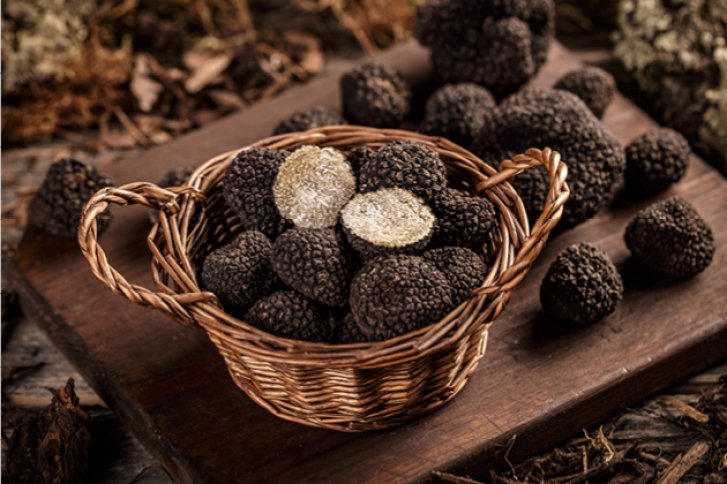 Ein Korb mit schwarzen Trüffeln steht auf einem rustikalen Holztisch, umgeben von Naturmaterialien.