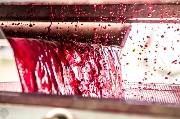 Roter Traubensaft fließt spritzend aus einer Presse in eine Auffangschale in hell beleuchtetem Raum.