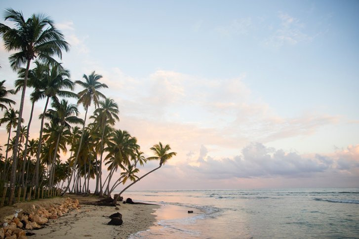 Palmen neigen sich über den ruhigen Strand, umgeben von sanften Wellen und hellem Himmel.