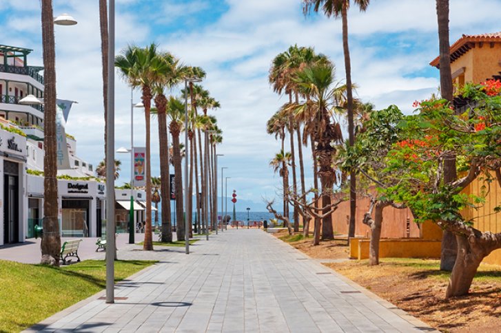 Palmen stehen entlang eines gepflasterten Weges am Meer, umgeben von Gebäuden und blühenden Bäumen.