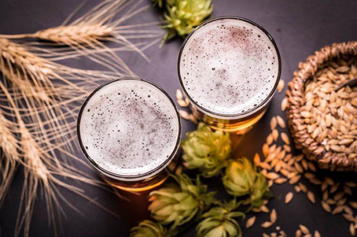 Zwei Biergläser stehen auf einem Tisch, umgeben von Hopfen, Weizen und Gerstenkörnern.