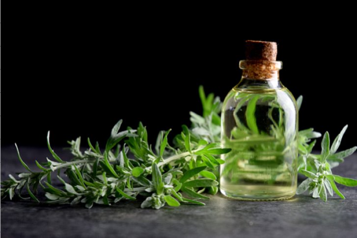Eine Glasflasche mit Korken steht neben frischen Kräutern auf einer dunklen Oberfläche.