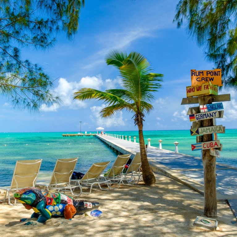 Colorful signposts stand on the beach, next to a jetty, surrounded by palm trees and the blue sea.