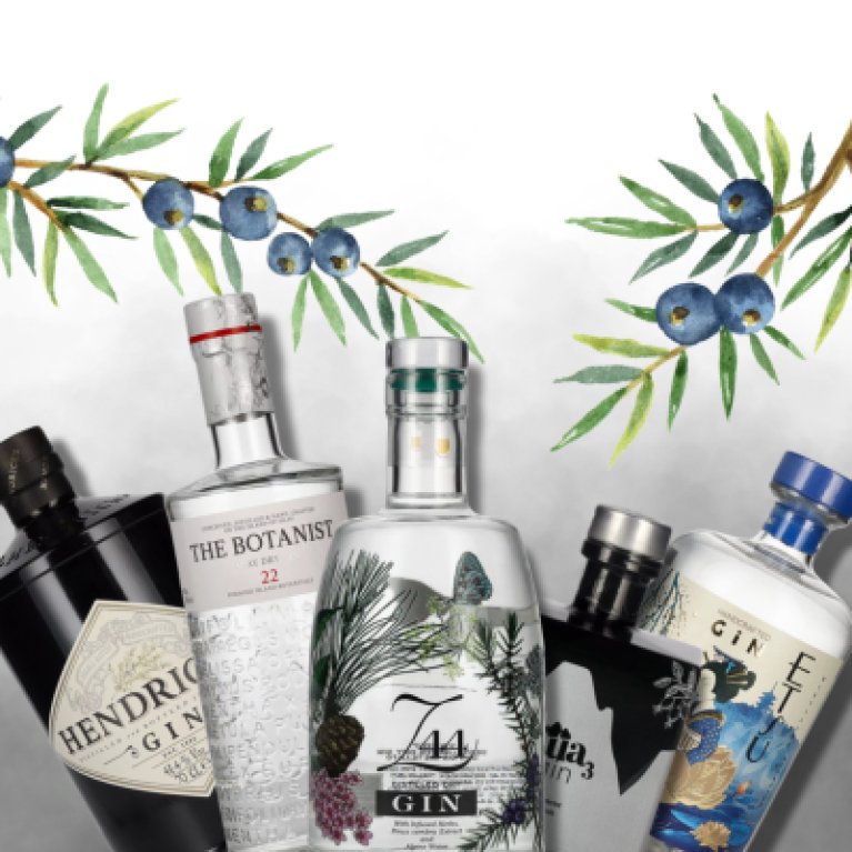 Vijf jeneverflessen staan naast elkaar, omringd door geïllustreerde jeneverbes takken met blauwe bessen.