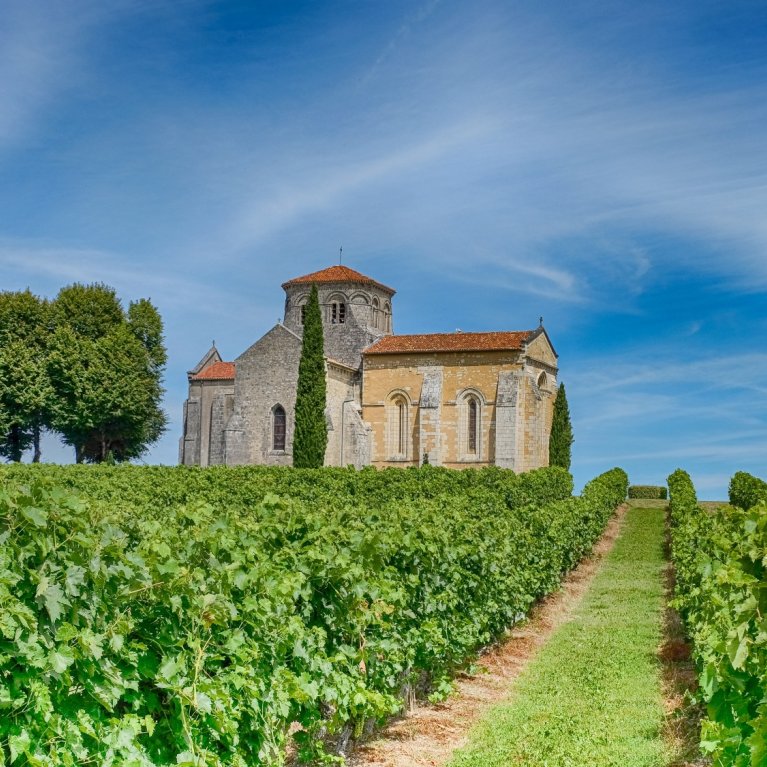 Une vieille église en pierre se dresse de manière pittoresque entre les vignobles verdoyants sous un ciel bleu clair.