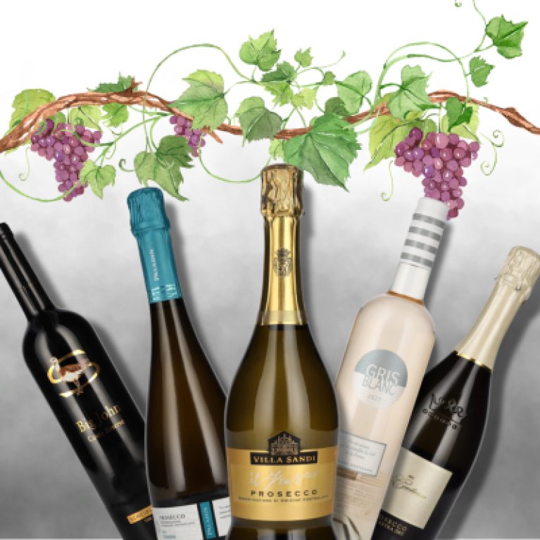 Five bottles of wine stand on a gray background, surrounded by painted grapes and leaves.