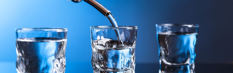 Acheter de la vodka : Conclusion