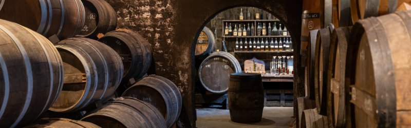 Barrels are stacked in a dark cellar, bottles are visible through an archway.