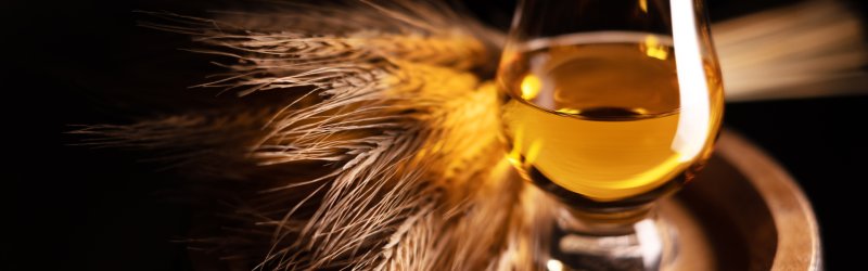 A glass of whisky stands on a barrel, surrounded by ears of wheat in the dark background.