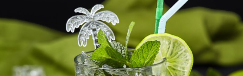Nojito im Glas mit Strohhalm und Platik Palme