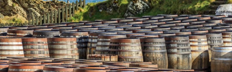 Wooden barrels are stored on the floor, surrounded by green hills and a view of the sea.