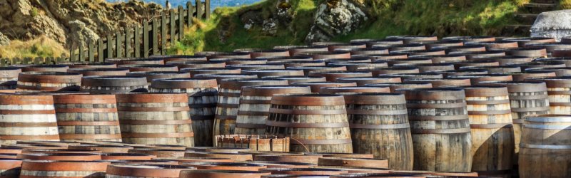 Holzfässer lagern auf dem Boden, umgeben von grünen Hügeln und Blick auf das Meer.
