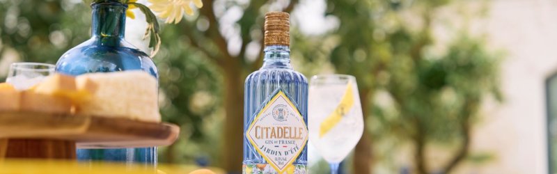 A bottle of gin stands on a table with flowers, a cheese board and a cocktail glass outside.