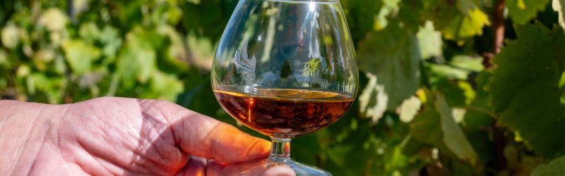 Cognac kopen: Definitie van Cognac
