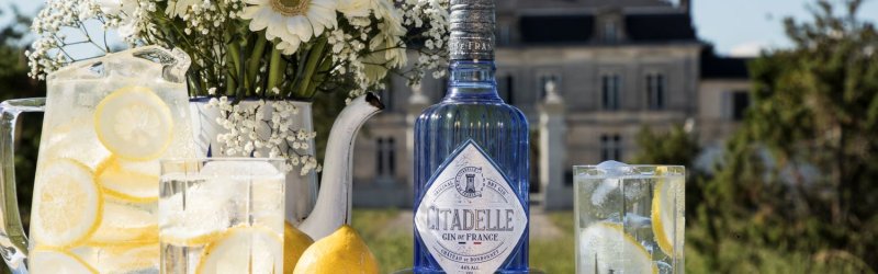Blaue Gin-Flasche steht auf Tisch, umgeben von Zitronenscheiben, Gläsern, Blumen und Villa im Hintergrund.