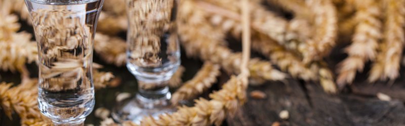 Zwei Schnapsgläser gefüllt, dekoriert mit Weizenähren, auf rustikalem Holztisch arrangiert.