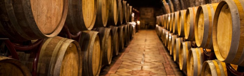 Wooden barrels are stored quietly in an illuminated wine cellar with a brick-lined floor.