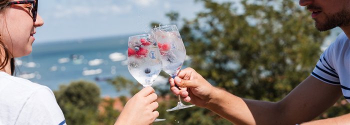 EIen Gin Flasche mit viel Grün im HIntergrund und einer Art Picknick
