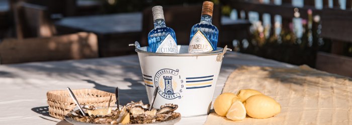 Deux bouteilles de gin sur une table dans le jardin avec une chaise floue au premier plan