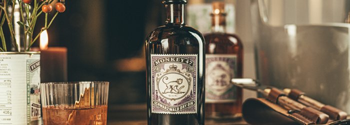 Gin bottle stands on a wooden table next to glass and spices, surrounded by a cozy bar atmosphere.