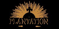 Bottle surrounded by rays appears above the lettering "PLANTATION" against a light background.