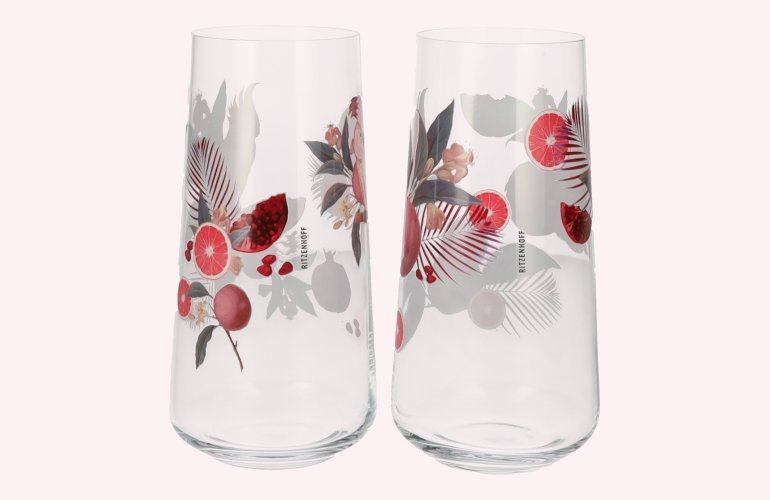 RITZENHOFF Sommersonett Allround Universalgläser F24 2x 0,614l