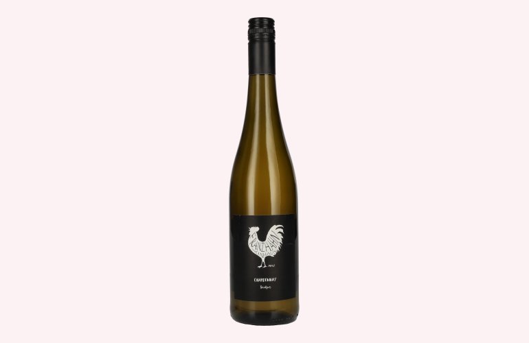Franz Hahn Chardonnay 2025 13% Vol. 0,75l