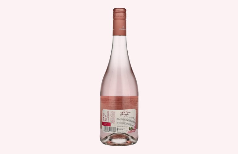 Katlenburger Fruity Hugo Rhubarb 7% Vol. 0,75l