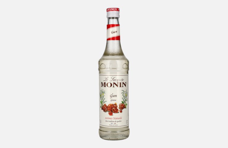 Le Sirop de Monin GUMMI-ARABICUM 0,7l