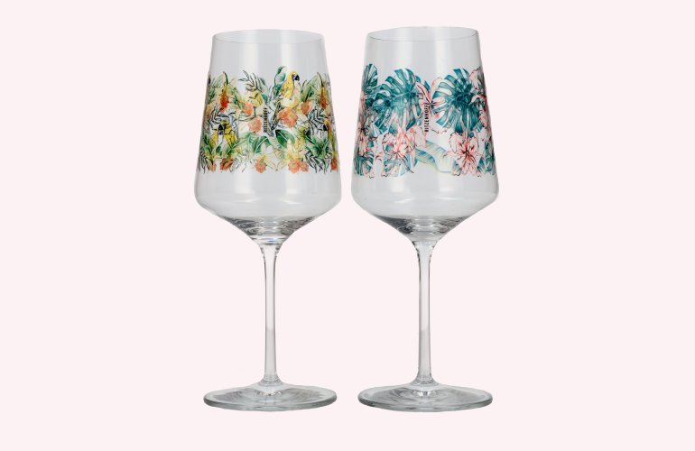 RITZENHOFF Sommerrausch Aperizzo F23 glasses 2x 0,544l