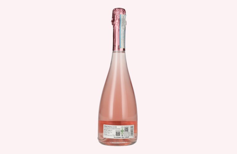 Paladin Prosecco Rosé Brut Millesimato DOC 2024 11,5% Vol. 0,75l