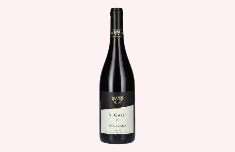 AI GALLI Pinot Nero Veneto IGT 2024 13% Vol. 0,75l