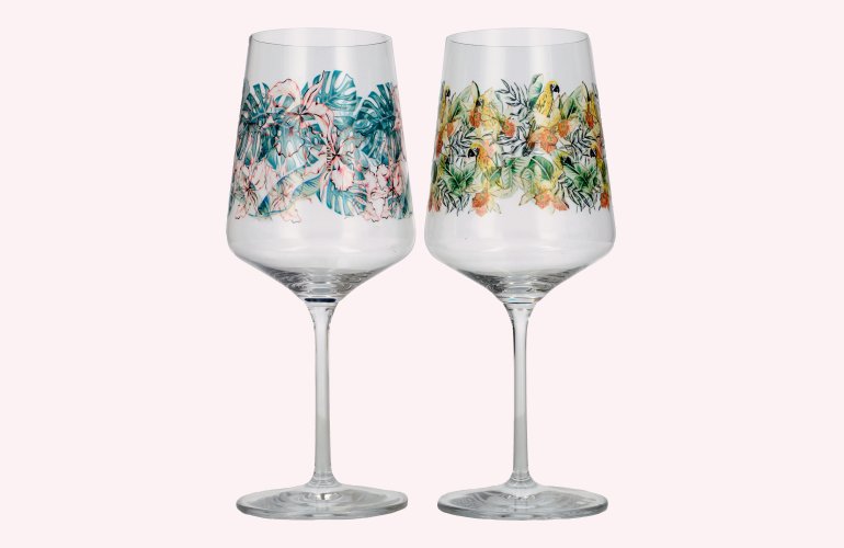 RITZENHOFF Sommerrausch Aperizzo F23 Gläser 2x 0,544l