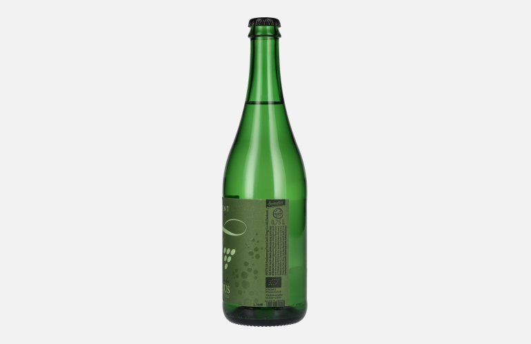 Tement Prickelnder Verjus Péti Fizz 0,75l