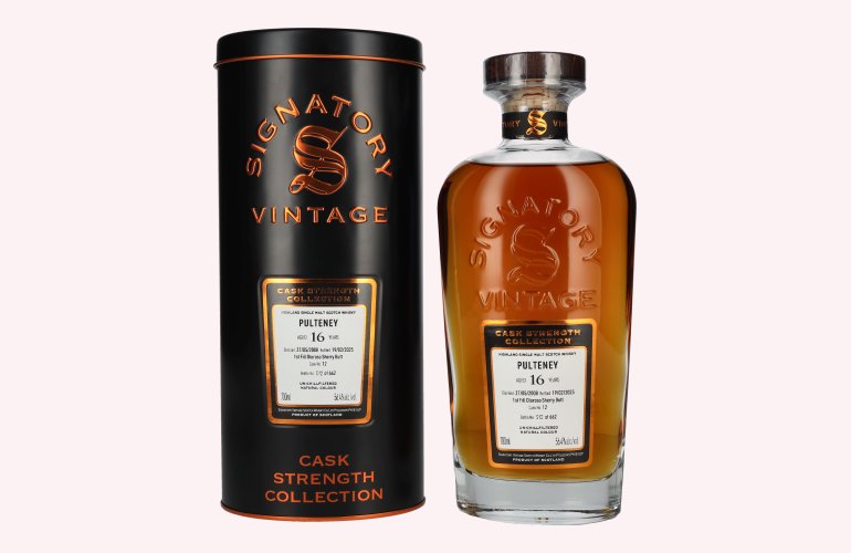 Signatory Vintage PULTENEY 16 Years Old 1st Fill Oloroso Cask Strength #12 2008 56,4% Vol. 0,7l in Tinbox