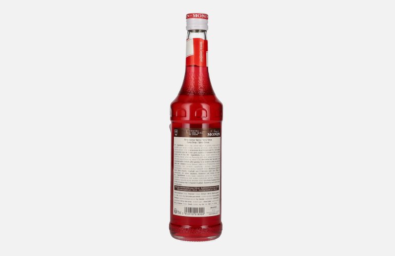 Le Sirop de Monin SPICY 0,7l