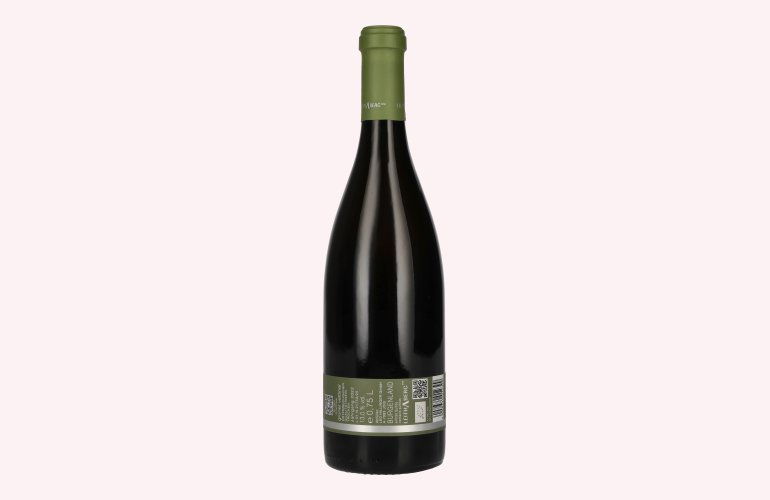 Hillinger Grüner Veltliner Leithaberg DAC 2022 13% Vol. 0,75l