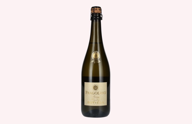 Bottega FRAGOLINO Bianco Country 10% Vol. 0,75l